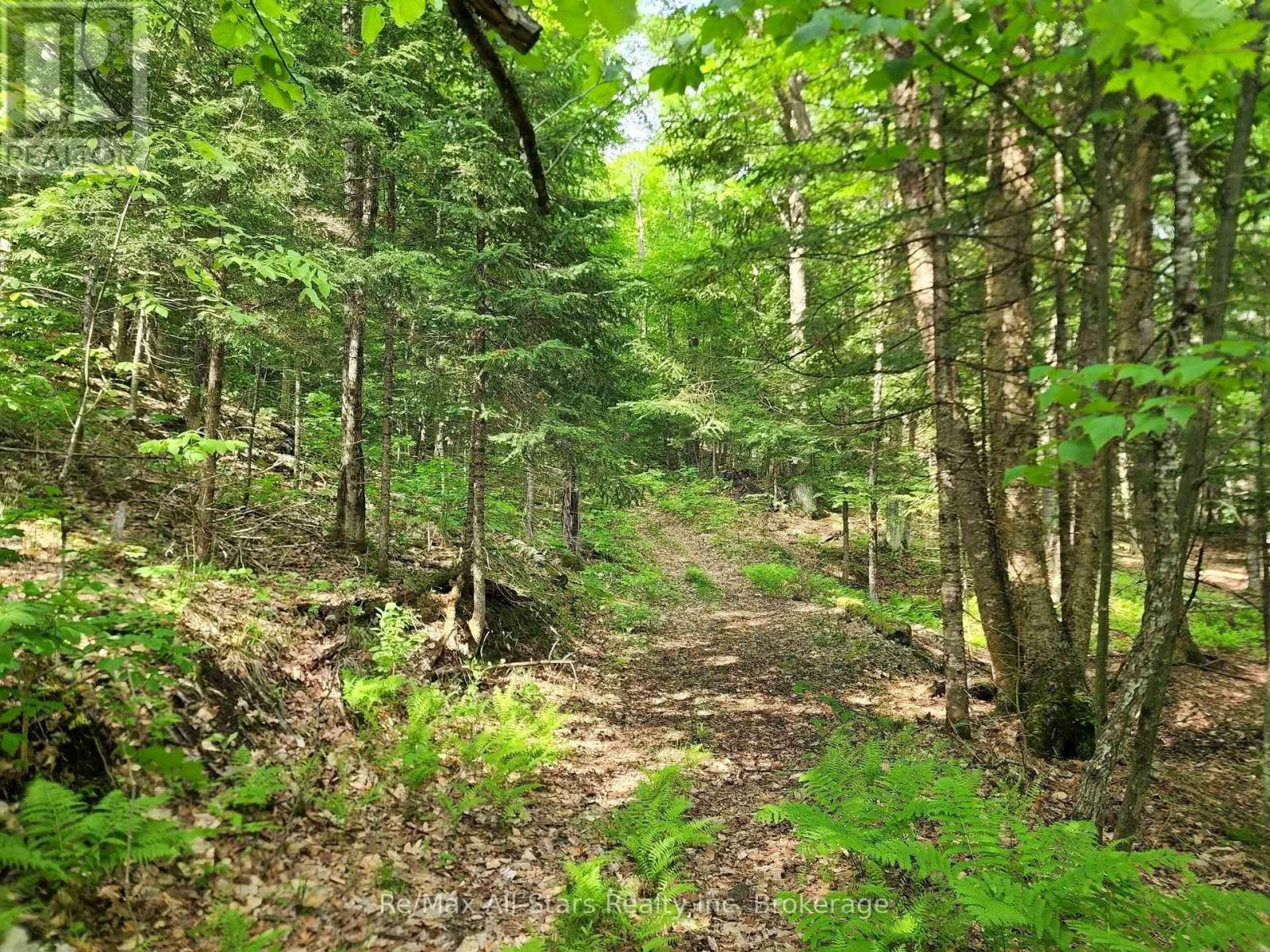 Photo 15 of 1386 South Portage Road, Lake Of Bays ON