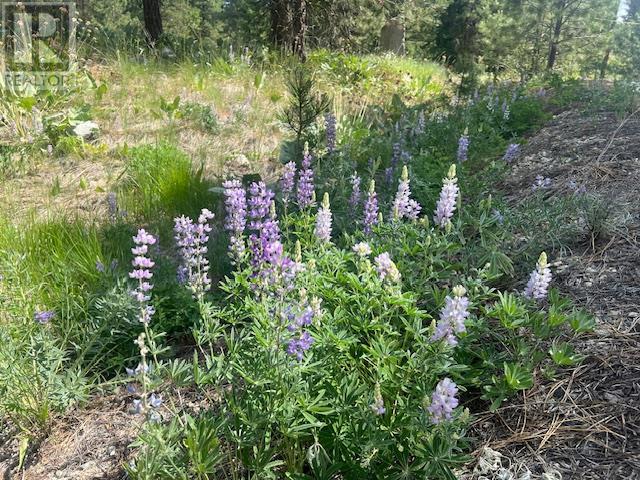 240 SASQUATCH Trail Lot# Lot 9, Osoyoos