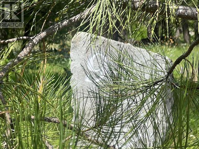 240 SASQUATCH Trail Lot# Lot 9, Osoyoos