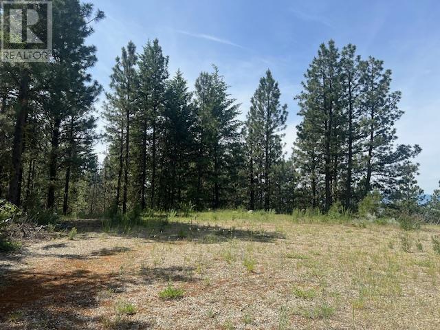 240 SASQUATCH Trail Lot# Lot 9, Osoyoos