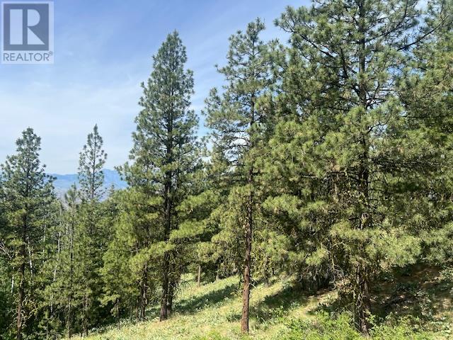 240 SASQUATCH Trail Lot# Lot 9, Osoyoos