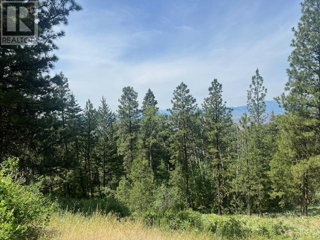 240 SASQUATCH Trail Lot# Lot 9, Osoyoos