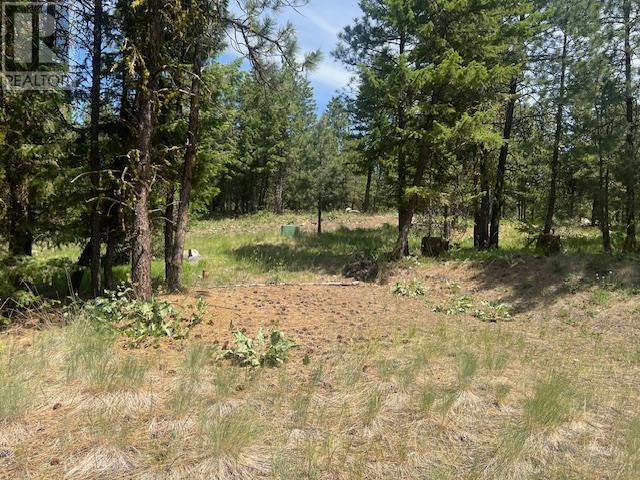 240 SASQUATCH Trail Lot# Lot 9, Osoyoos