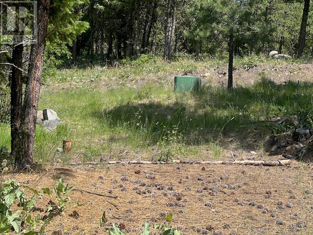 240 SASQUATCH Trail Lot# Lot 9, Osoyoos