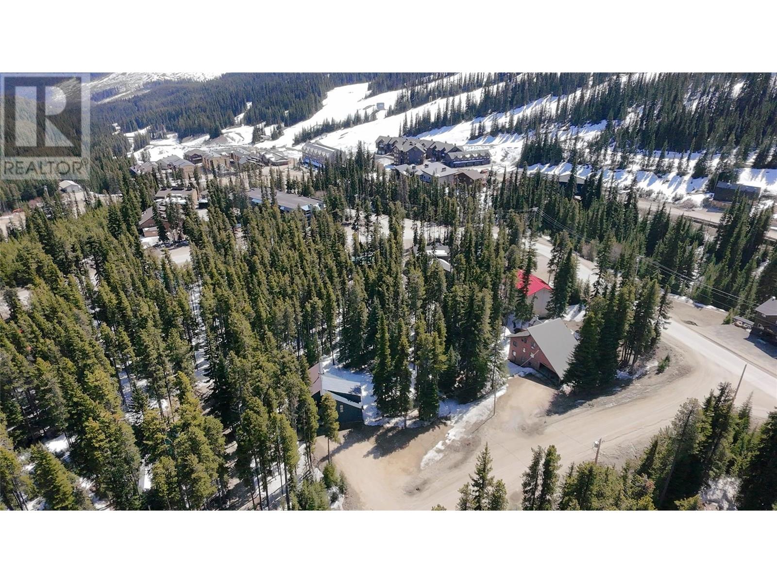 103 Whitetail Road Unit# 102, Apex Mountain