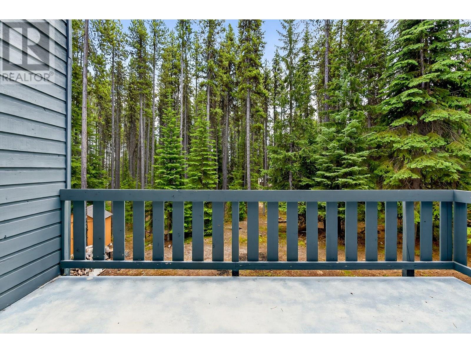 103 Whitetail Road Unit# 102, Apex Mountain