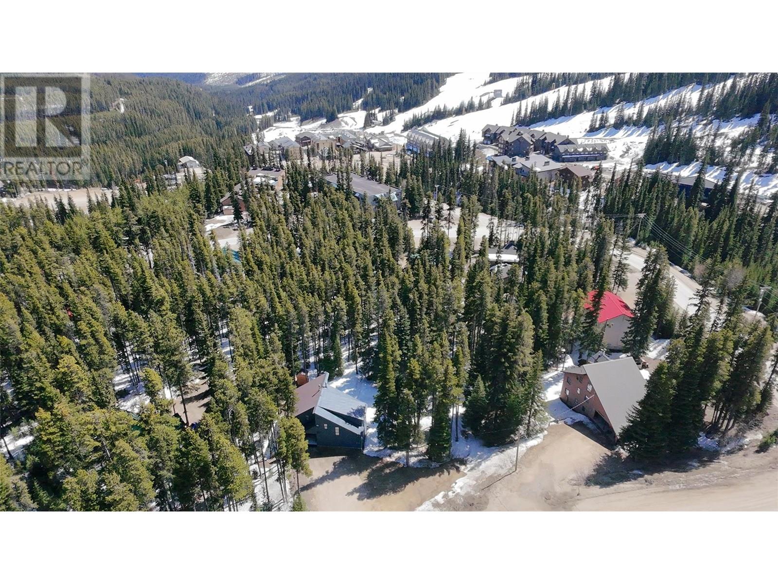 103 Whitetail Road Unit# 102, Apex Mountain