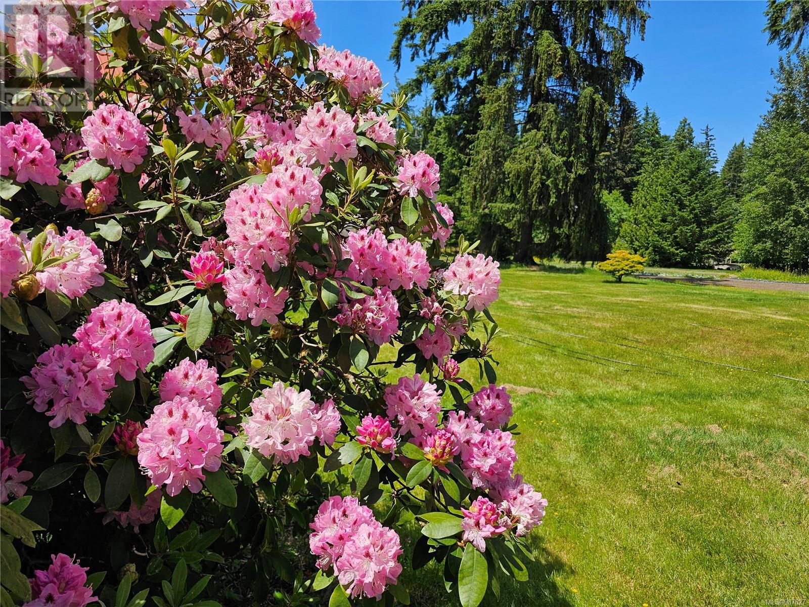 2156 Coleman Rd, Courtenay real estate listing 987627