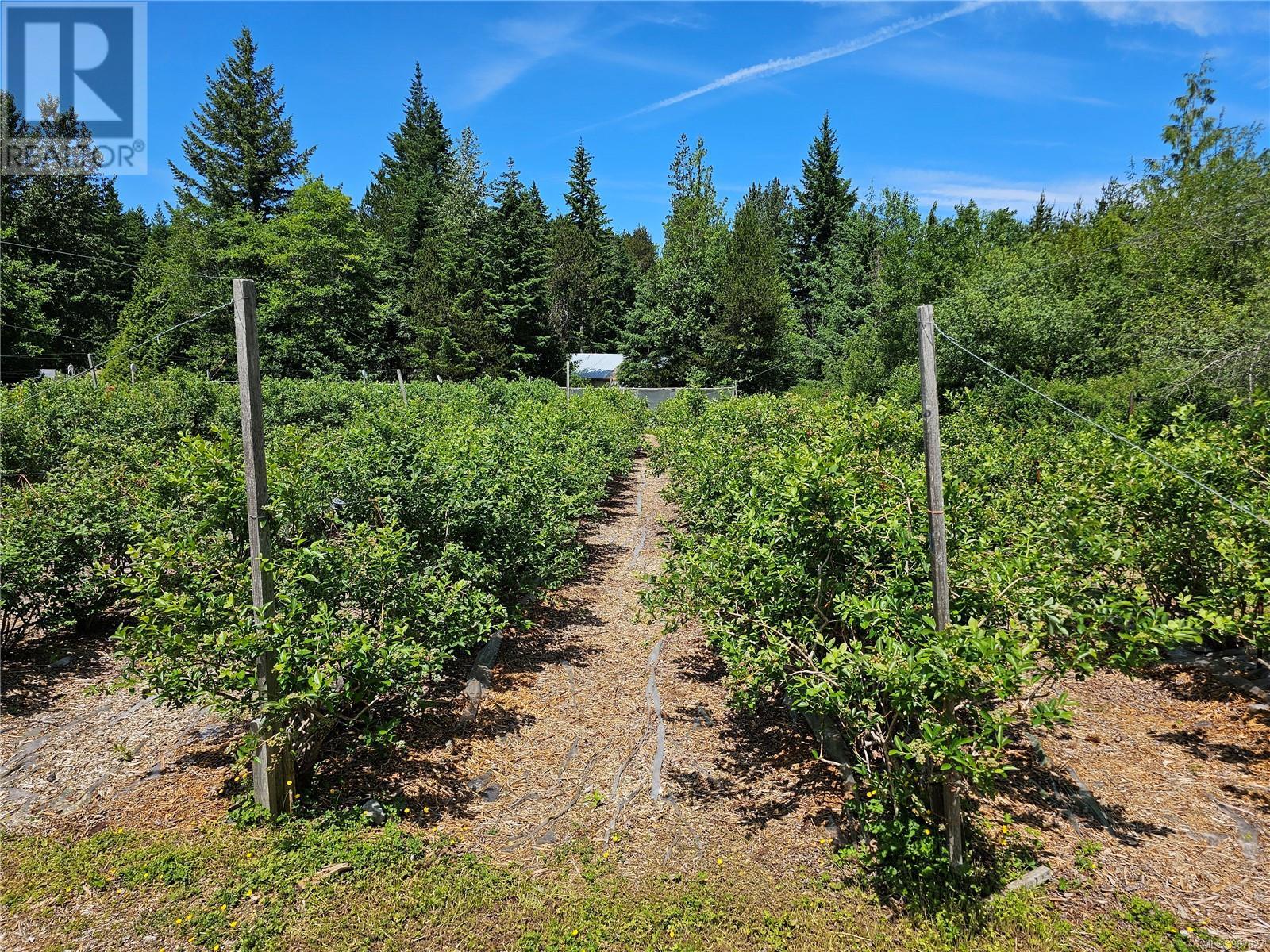 2156 Coleman Rd, Courtenay real estate listing 987627