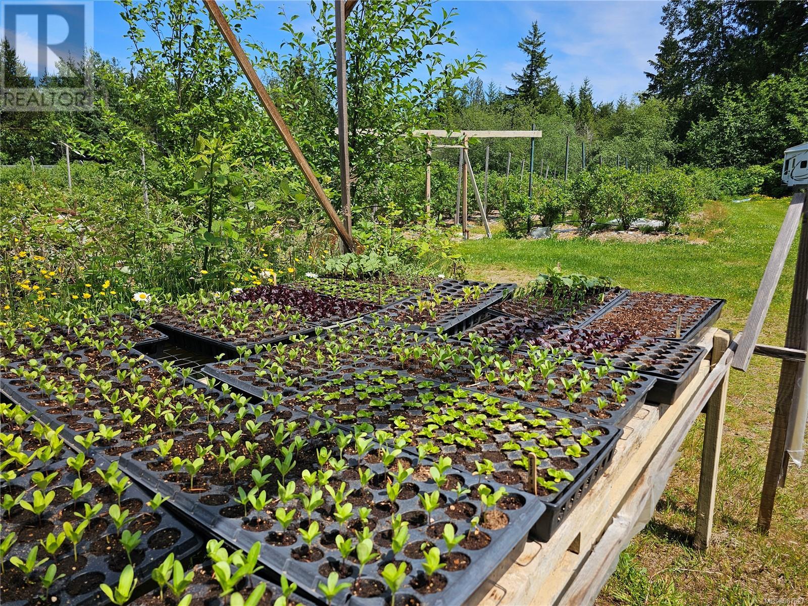 2156 Coleman Rd, Courtenay real estate listing 987627