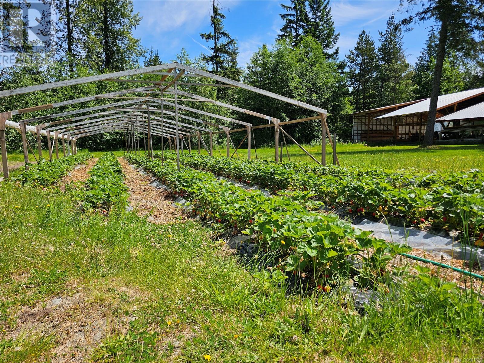 2156 Coleman Rd, Courtenay real estate listing 987627