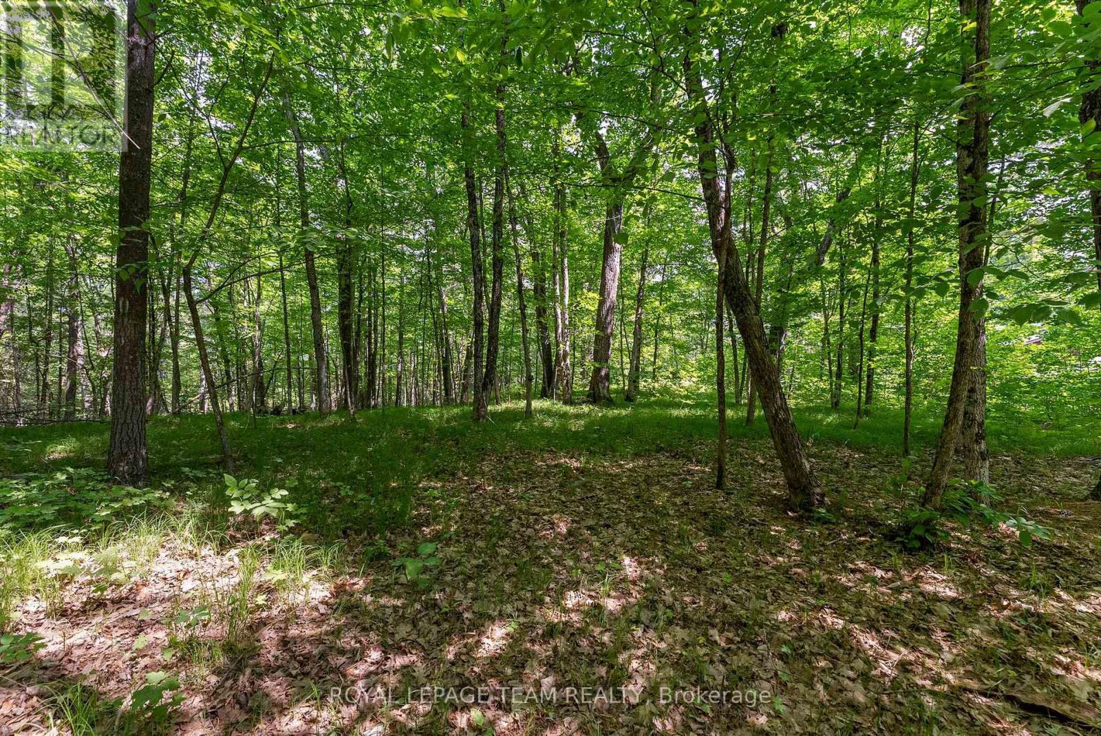 Photo 34 of 554 Poplar Way, Greater Madawaska ON