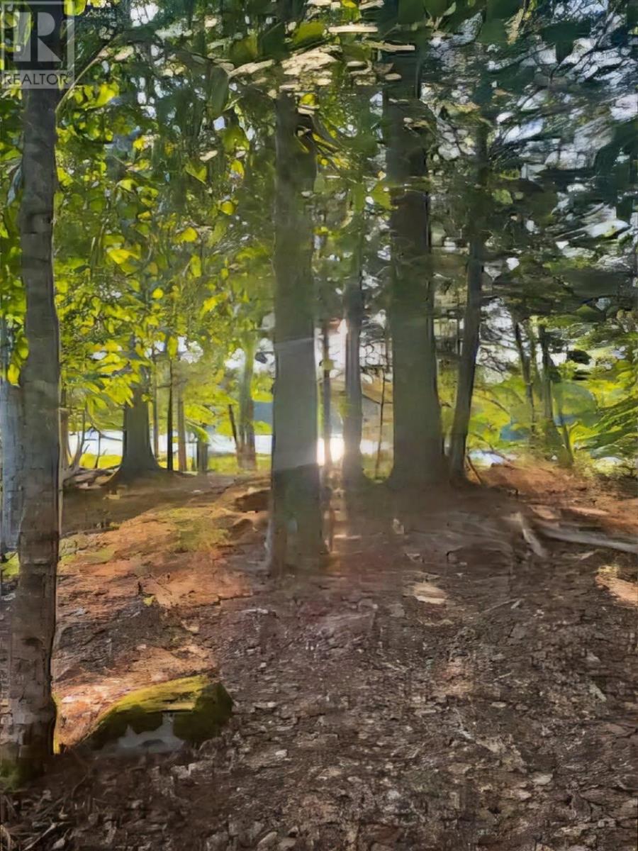 Property 5 of 44 of Lot 26 Maplesue Point Drive