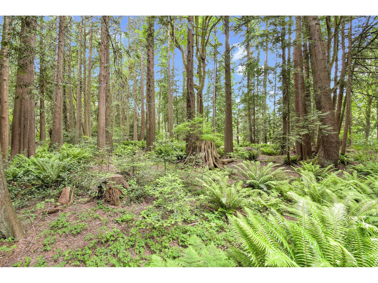 2845 132 STREET, Surrey