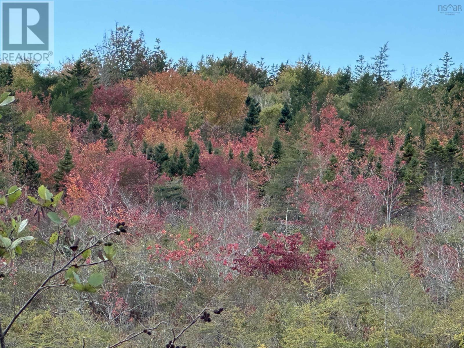 Property 4 of 8 of Highway 334