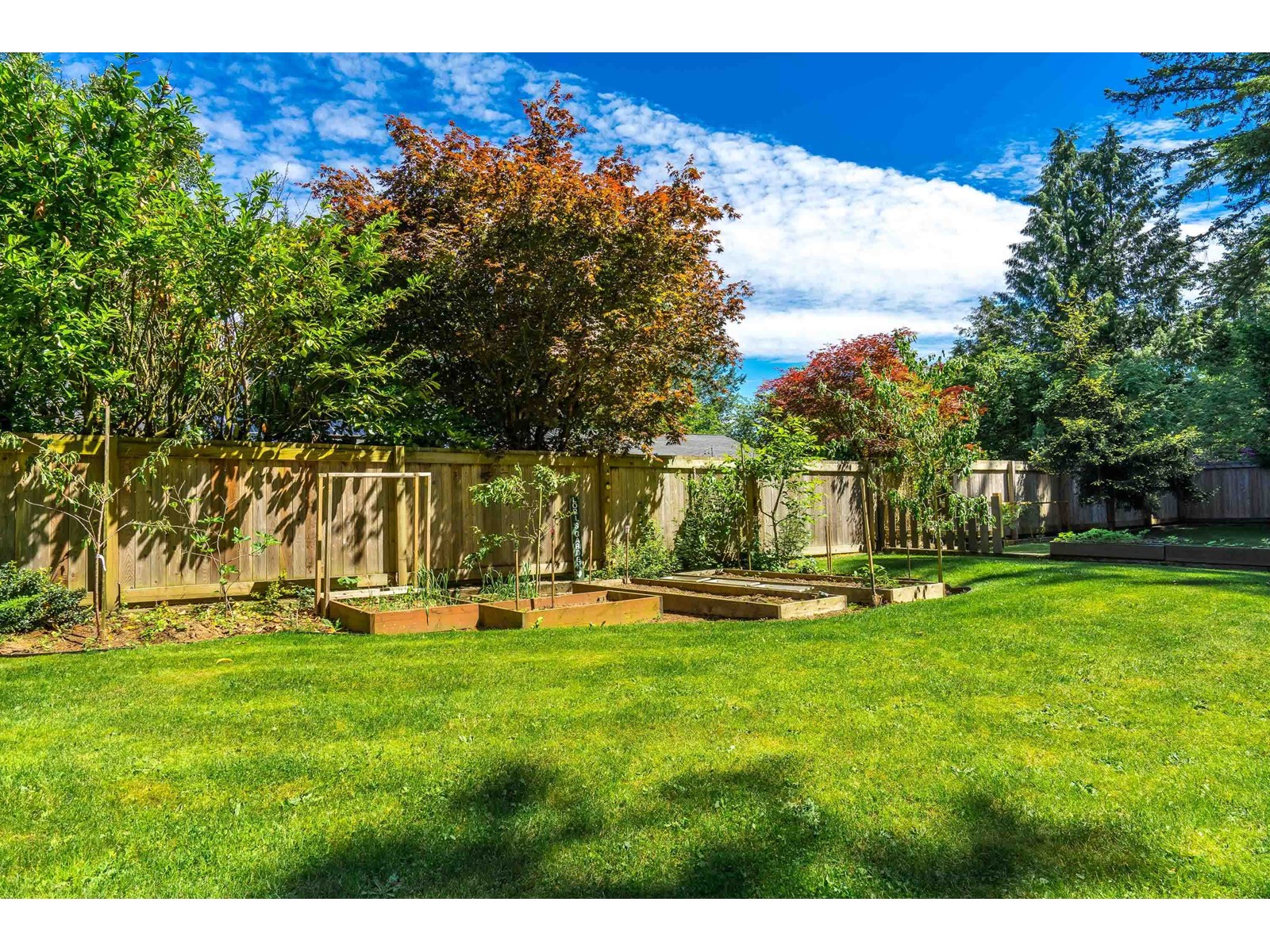 Photo 40 of 23659 53 A Avenue, Langley BC