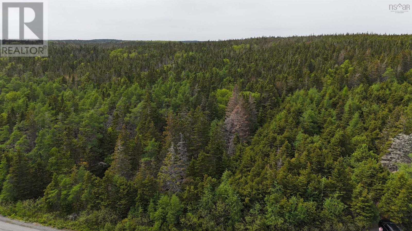 Property 11 of 31 of 5112 St Peters Fourchu Road