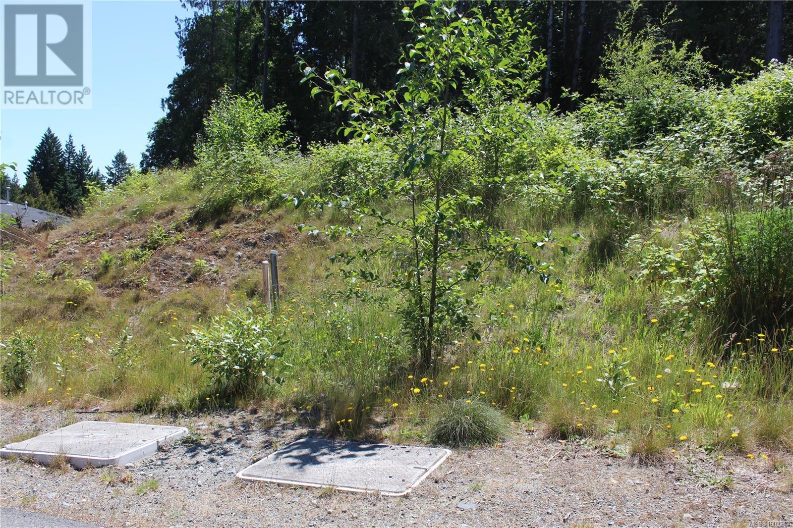 Vacant Land for Sale in Ladysmith – 128 Rollie Rose Dr, Ladysmith - Image 10