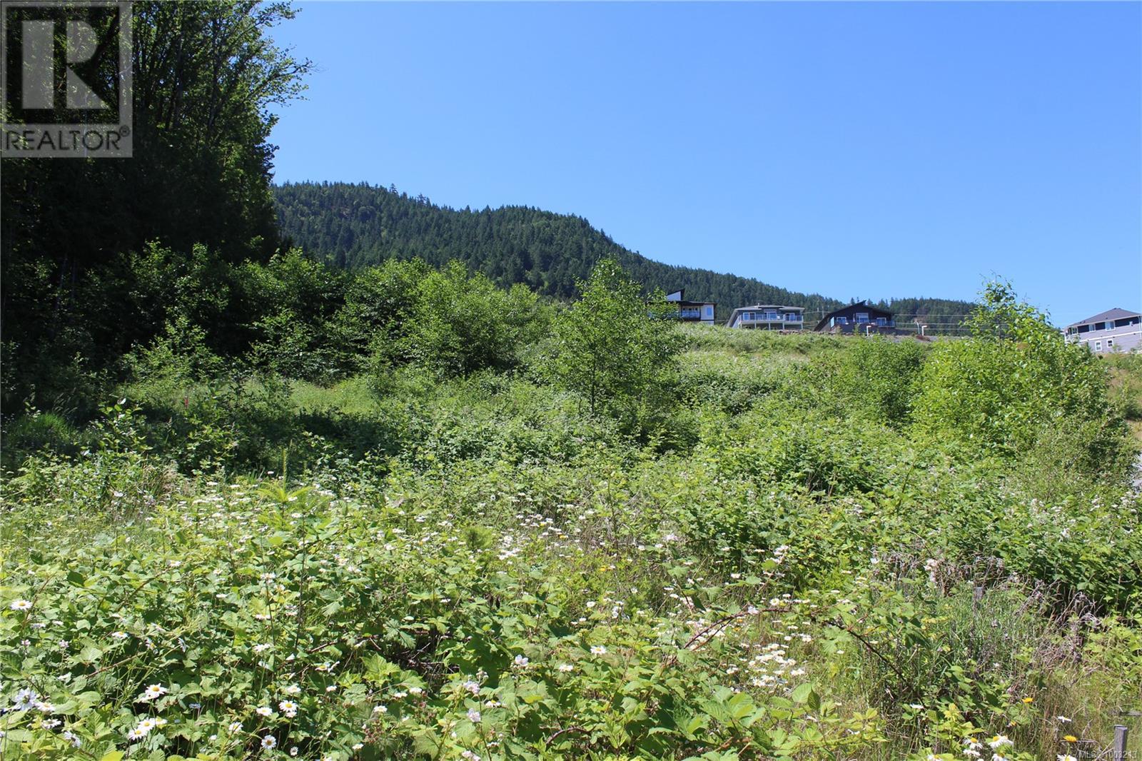 Vacant Land for Sale in Ladysmith – 128 Rollie Rose Dr, Ladysmith - Image 11