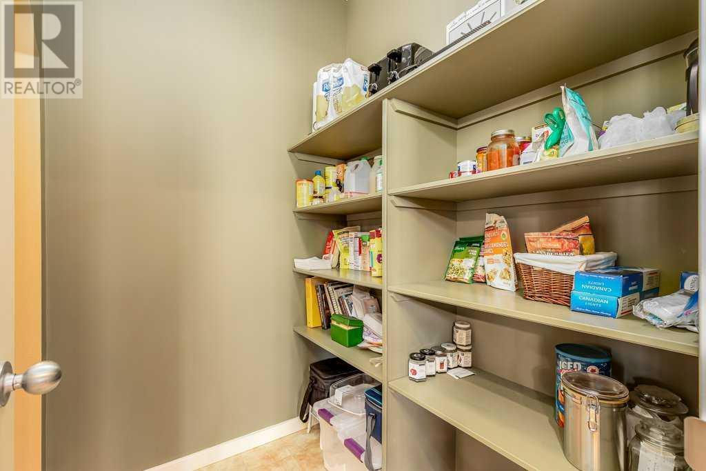 Single Family House for Sale in  Chapala Square SE Chaparral Calgary 