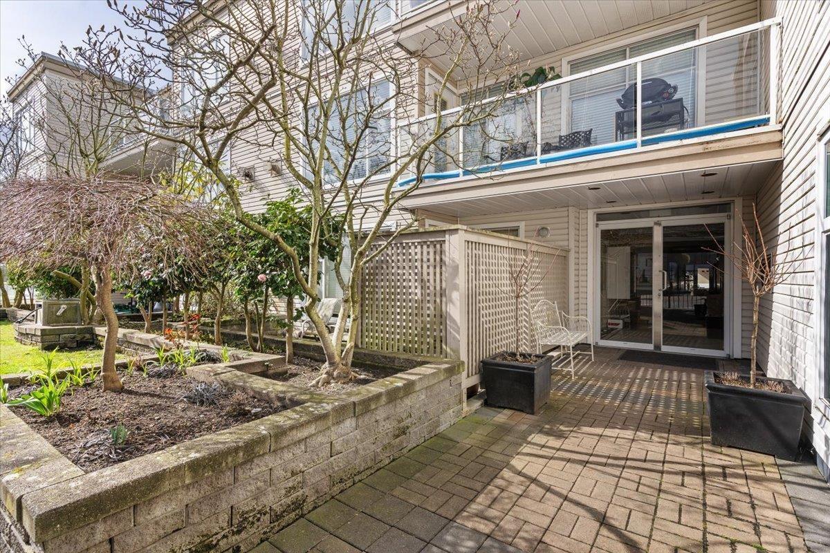 204 1153 VIDAL STREET, White Rock real estate listing R2980784