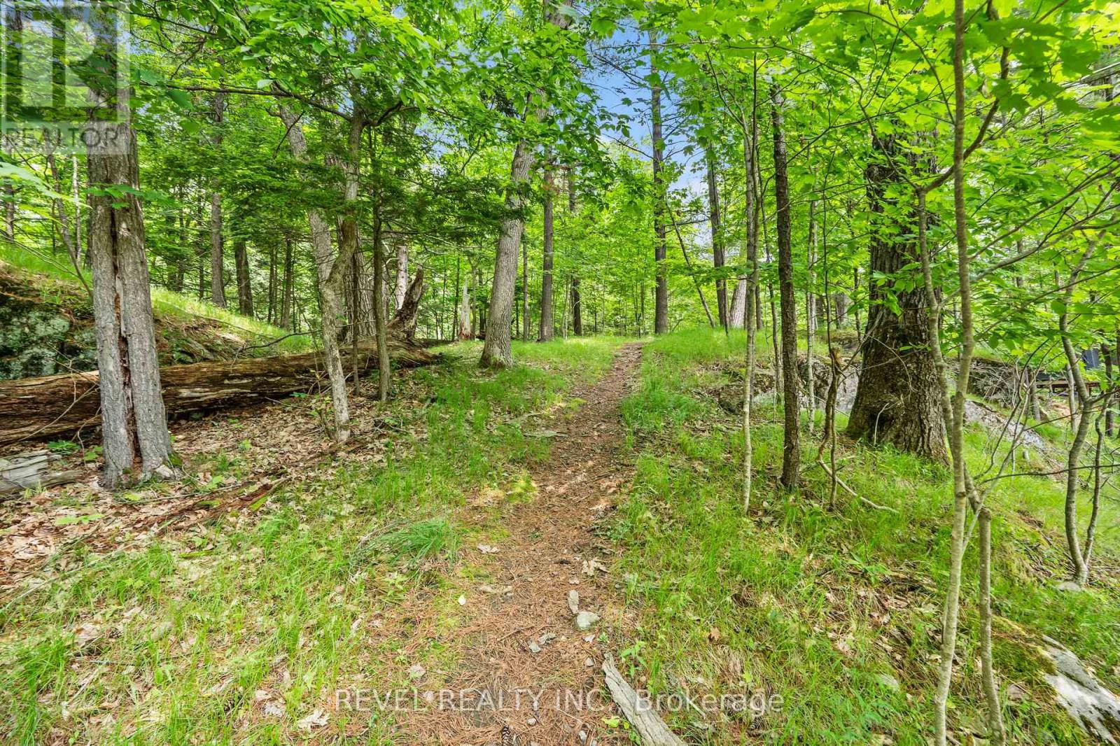 Photo 18 of 49 Sleepy Hollow Road, Rideau Lakes ON