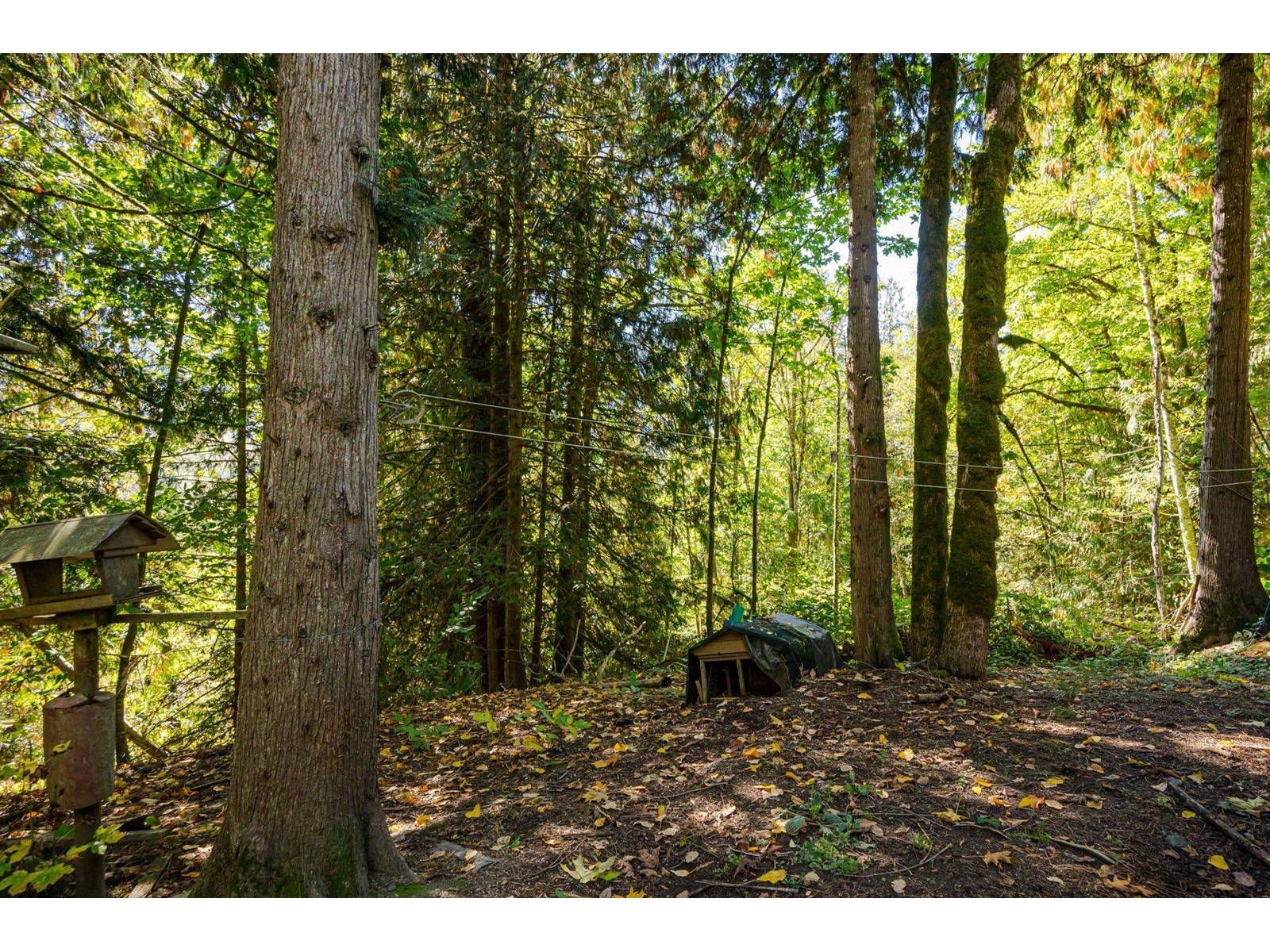 50802 WINONA ROAD, Chilliwack River Valley, Chilliwack real estate listing R2966327