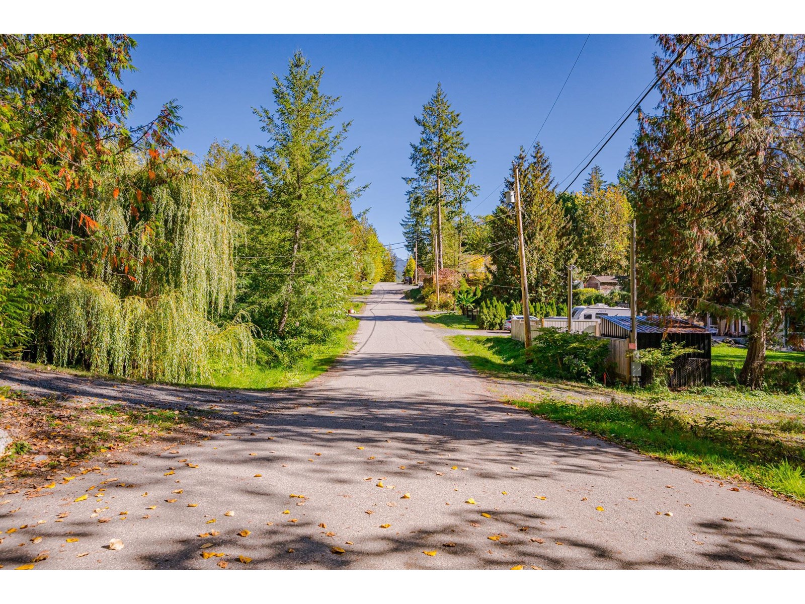50802 WINONA ROAD, Chilliwack River Valley, Chilliwack real estate listing R2966327