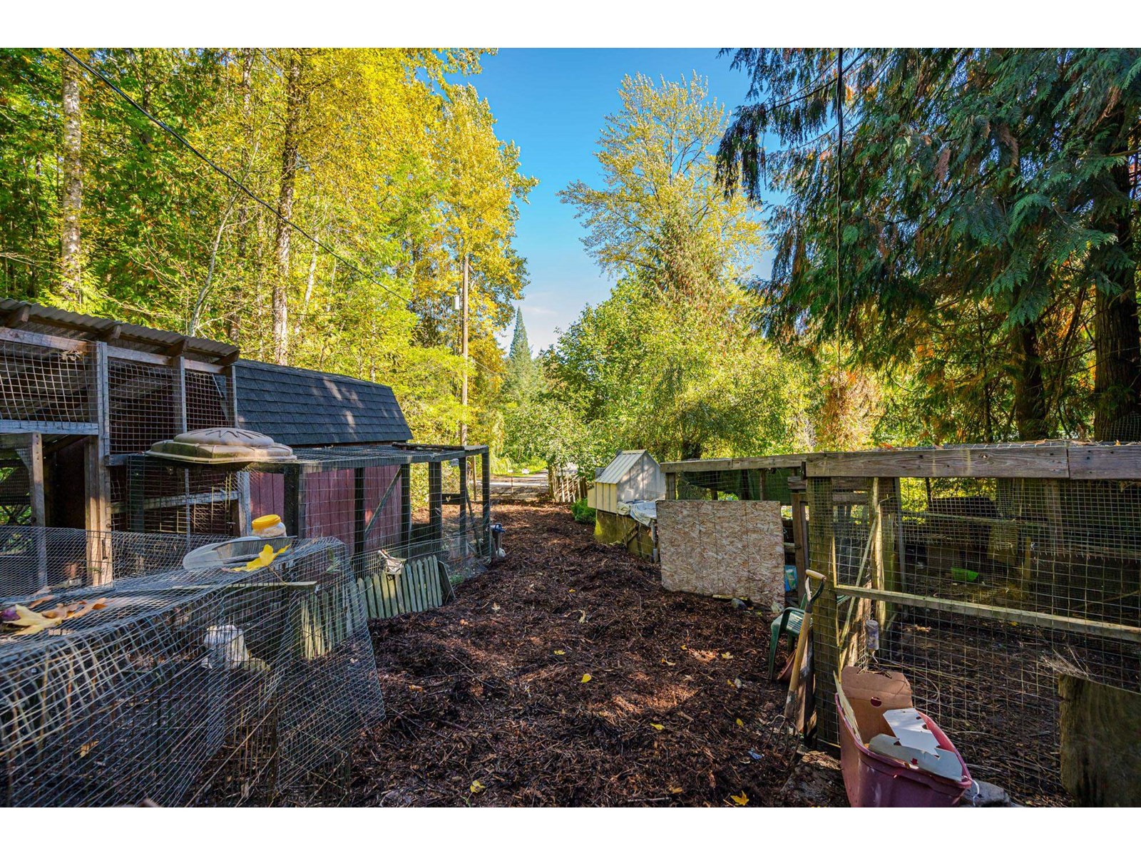 50802 WINONA ROAD, Chilliwack River Valley, Chilliwack real estate listing R2966327