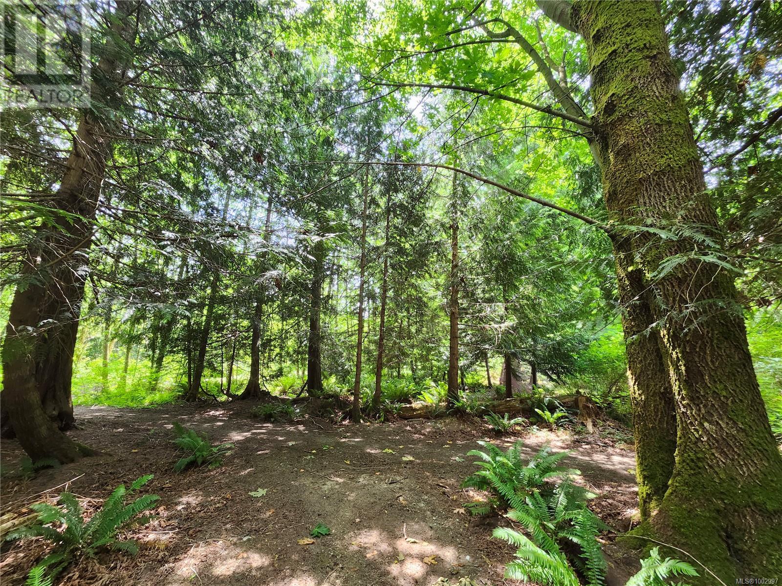 Photo 10 of 1075 Spider Lake Rd, Qualicum Beach BC