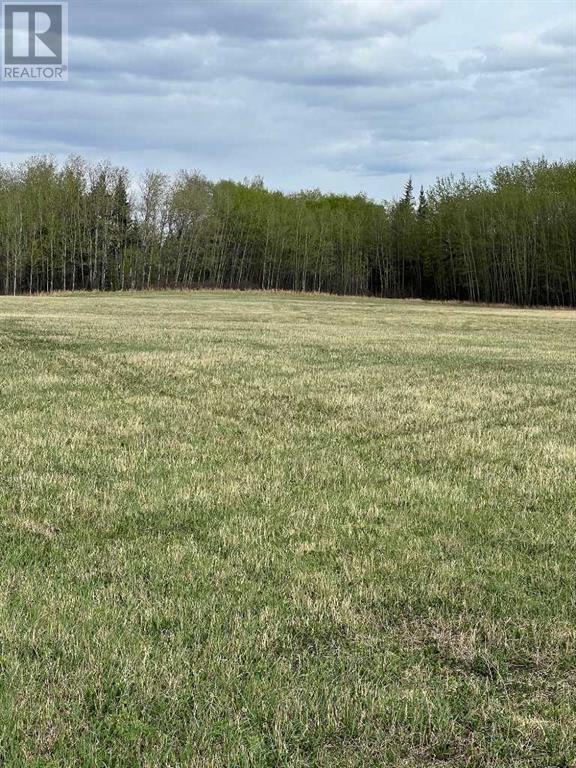 Photo 3 of Plan 9720341 Lot 3, Grande Prairie AB