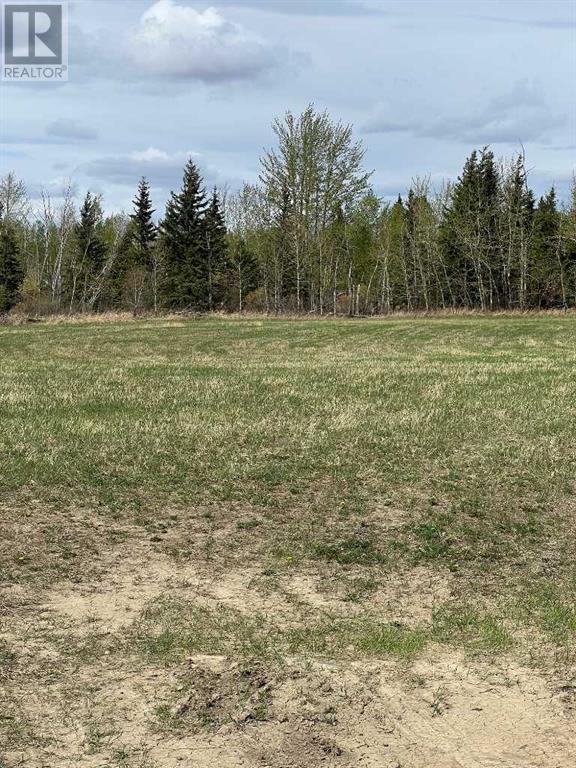 Photo 1 of Plan 9720341 Lot 3, Grande Prairie AB