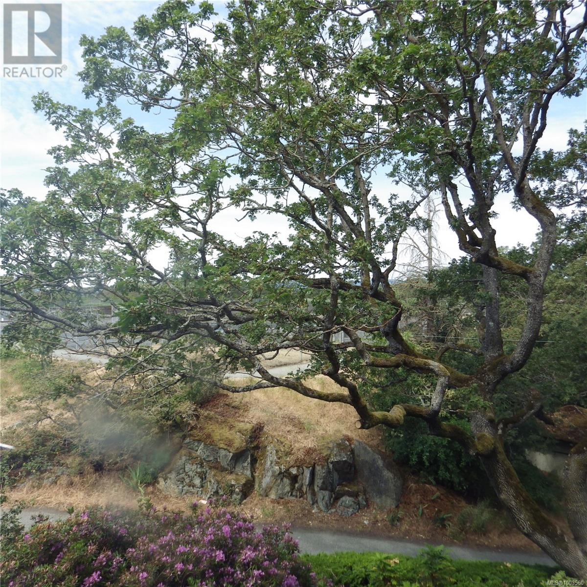 Single Family House for Sale in   Cook St Spencers Castle Victoria 