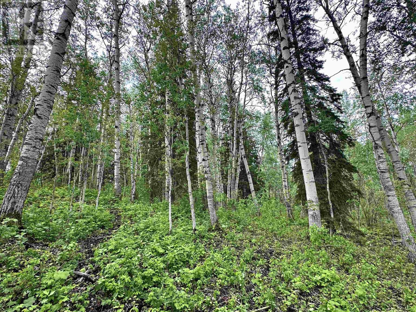 455 HORSESHOE LAKE ROAD, McBride