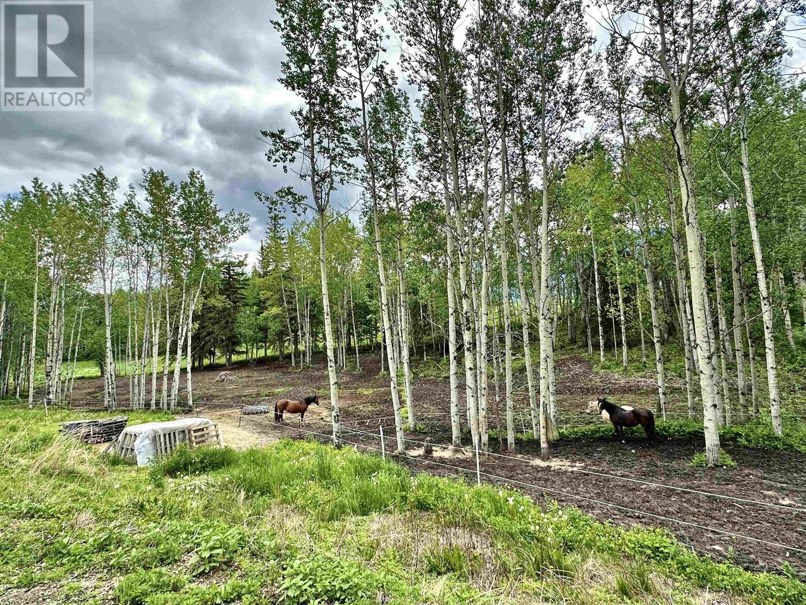 455 HORSESHOE LAKE ROAD, McBride