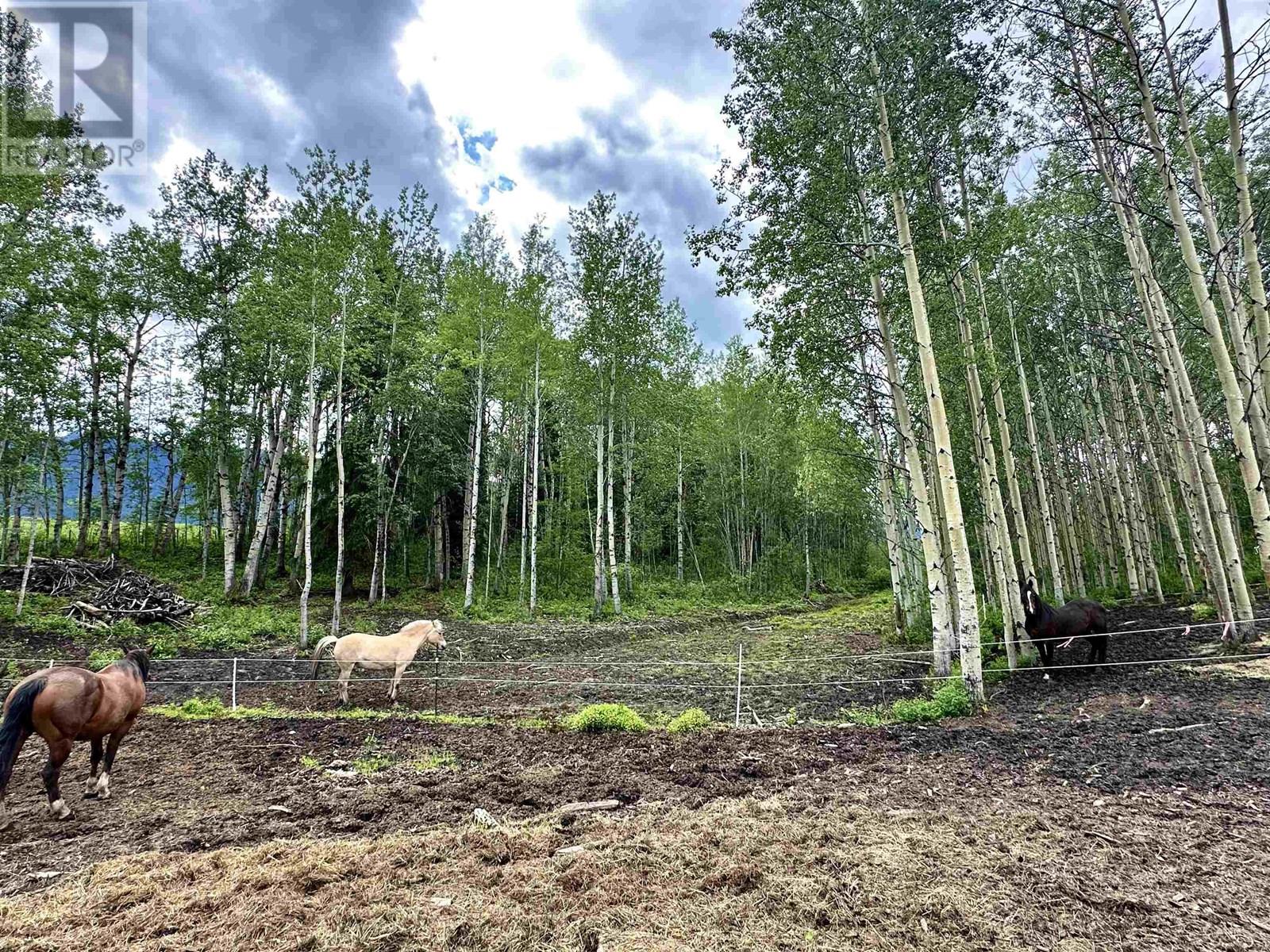 455 HORSESHOE LAKE ROAD, McBride