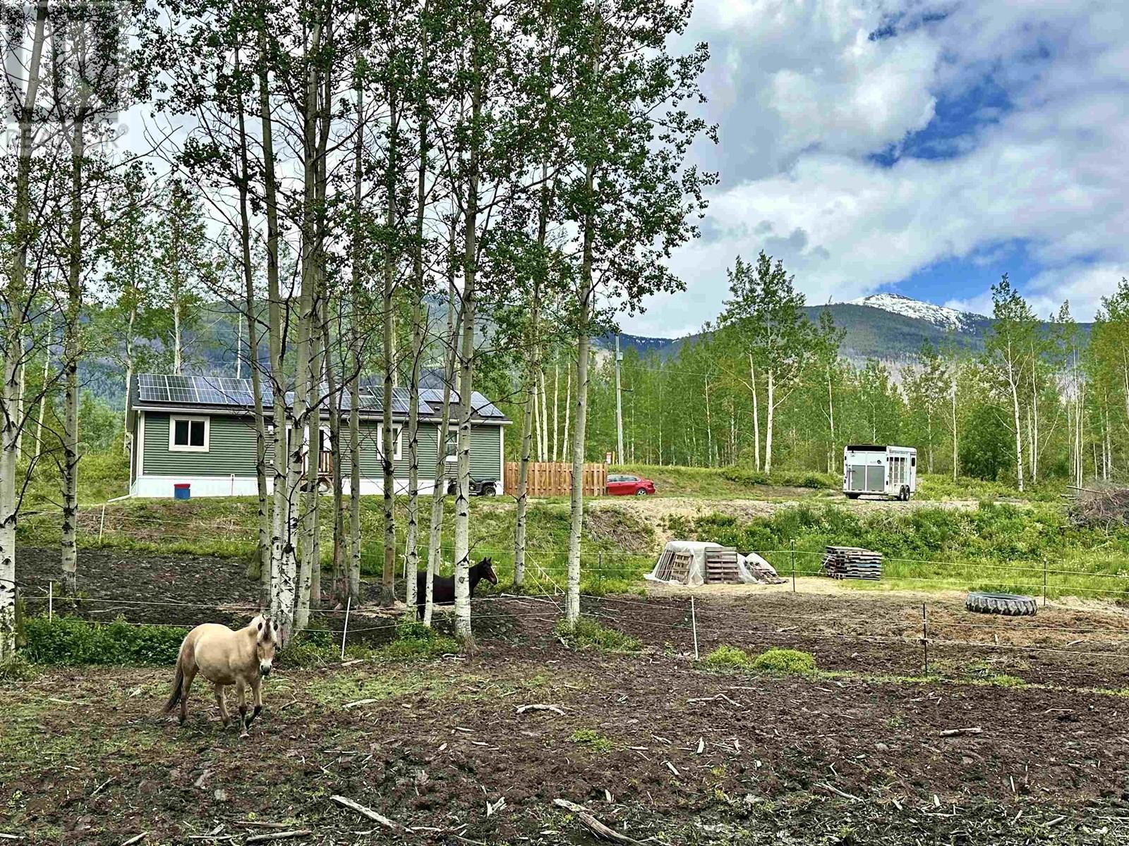 455 HORSESHOE LAKE ROAD, McBride