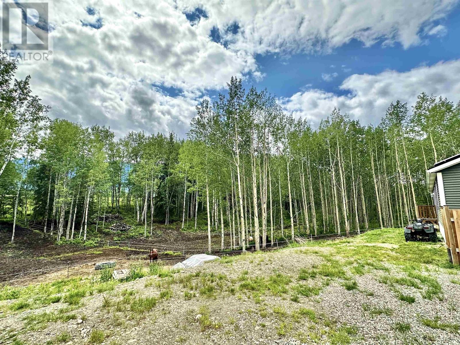 455 HORSESHOE LAKE ROAD, McBride