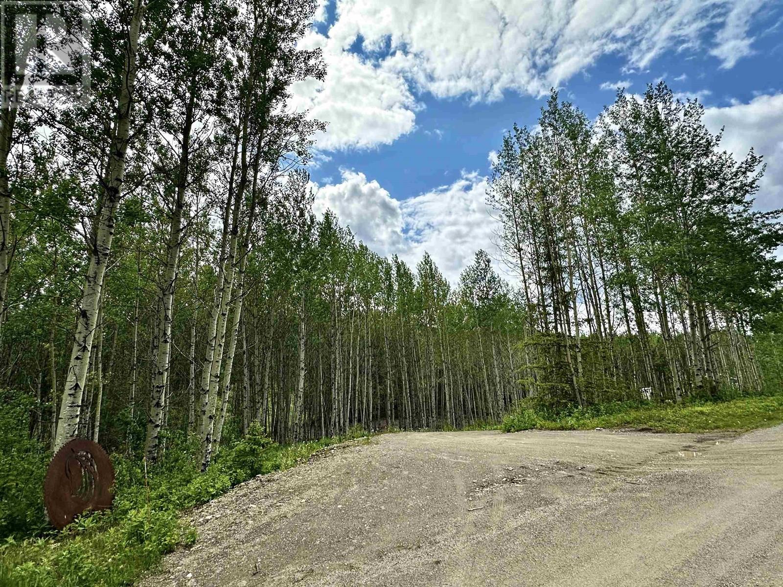 455 HORSESHOE LAKE ROAD, McBride