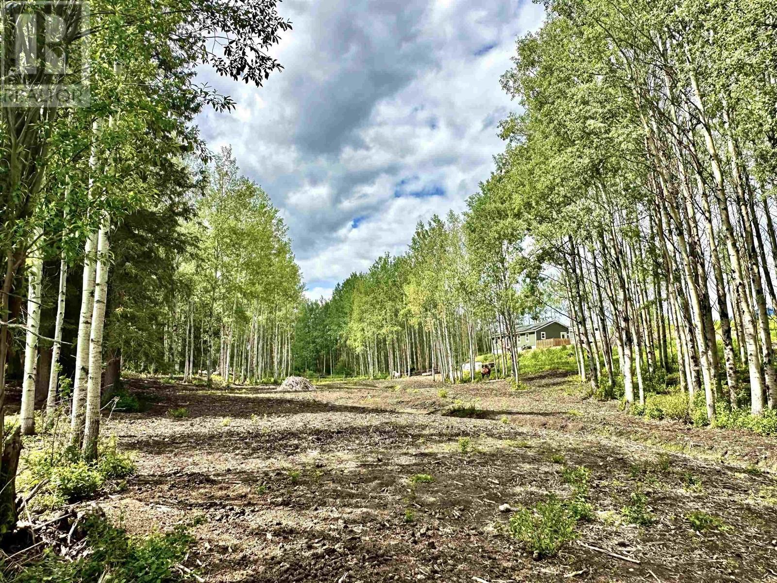 455 HORSESHOE LAKE ROAD, McBride