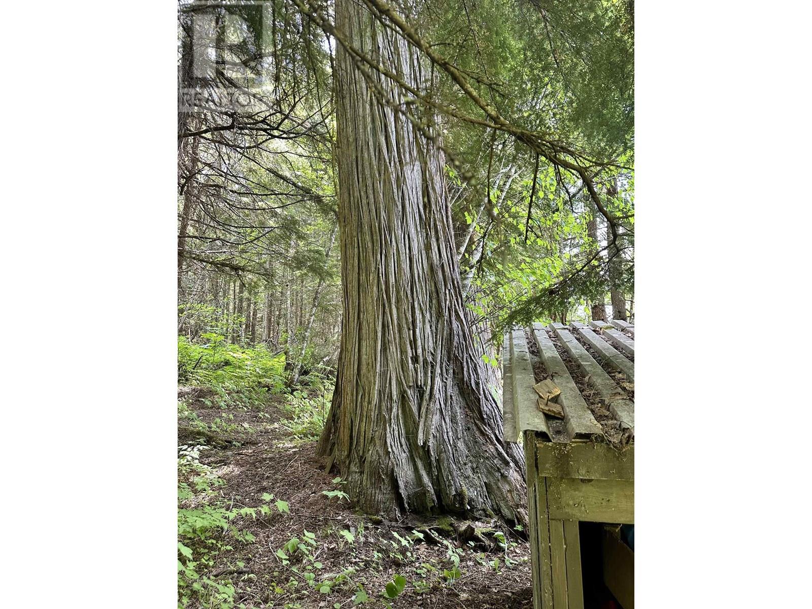 DL 5192 EAST ARM QUESNEL LAKE - 21