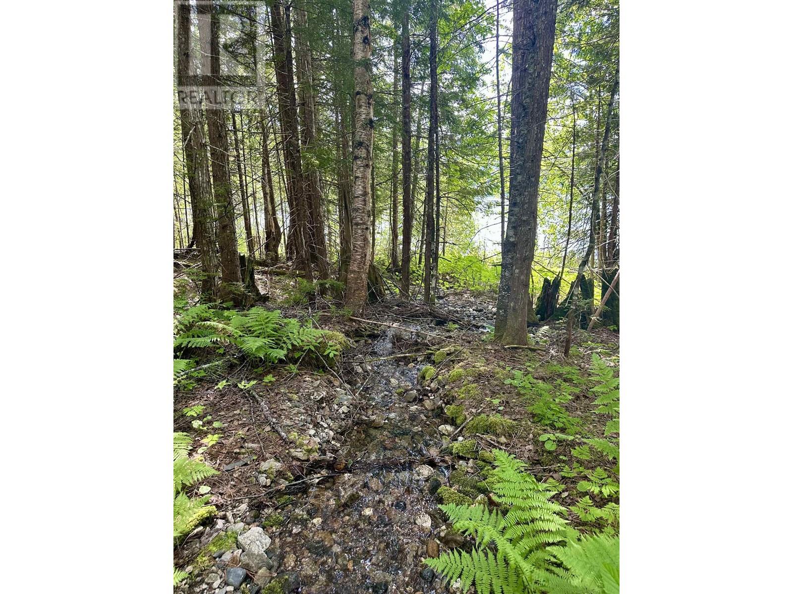 DL 5192 EAST ARM QUESNEL LAKE - 20