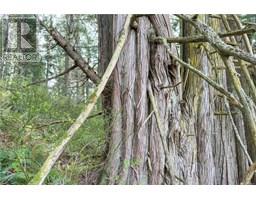 0 Humpback Bay, Sayward, BC V0P1R0 Photo 31