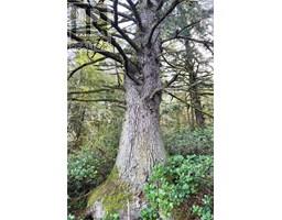 0 Humpback Bay, Sayward, BC V0P1R0 Photo 35