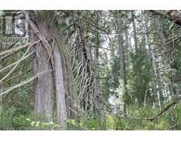0 Humpback Bay, Sayward, BC V0P1R0 Photo 41