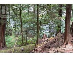 0 Humpback Bay, Sayward, BC V0P1R0 Photo 45
