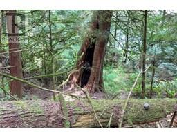 0 Humpback Bay, Sayward, BC V0P1R0 Photo 46