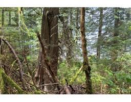 0 Humpback Bay, Sayward, BC V0P1R0 Photo 48