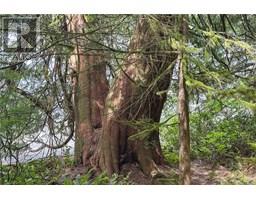0 Humpback Bay, Sayward, BC V0P1R0 Photo 49