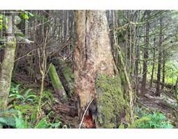 0 Humpback Bay, Sayward, BC V0P1R0 Photo 52
